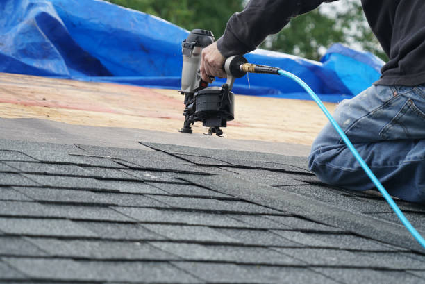 Roof Moss and Algae Removal in Paducah, TX